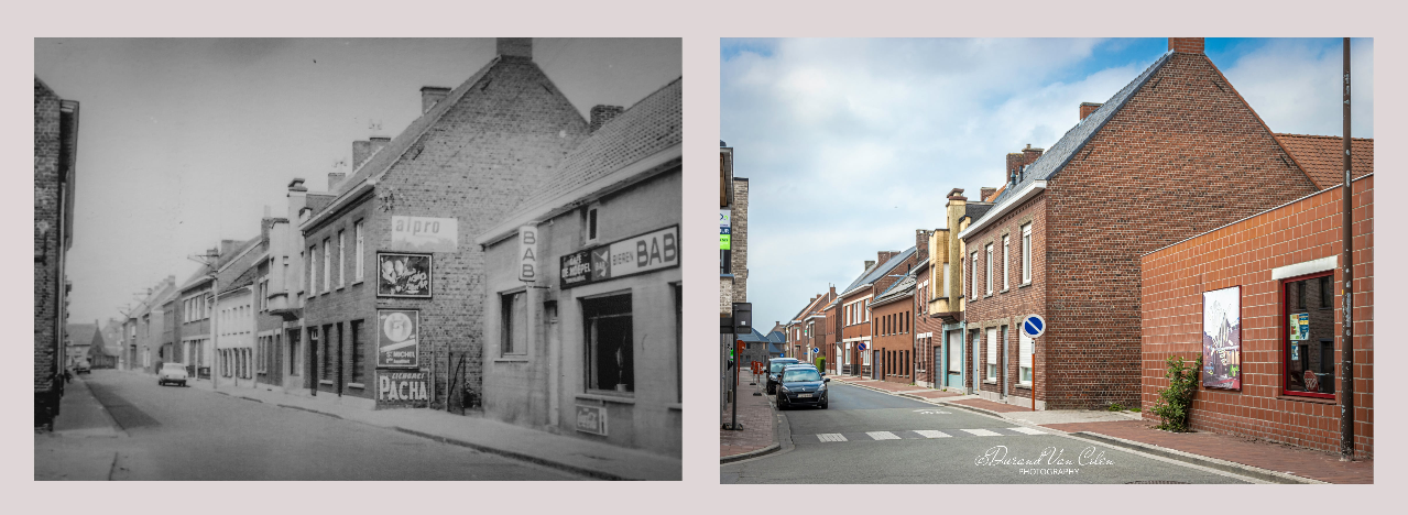 Klikt om foto te vergroten